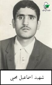 شهید روشندلی که نخبه رشته حقوق دانشگاه تهران بود