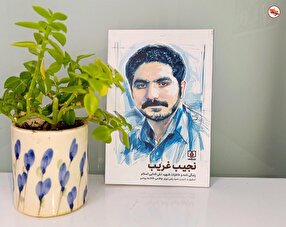 New Biography on Martyr Taghi Fadaei Eslam, “Najib-e Gharib,” Released