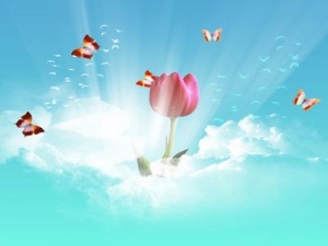 خاطره آبی «خاطرات خواهر جانباز خیریه معاوی» خاطره آبی «خاطرات خواهر جانباز خیریه معاوی»