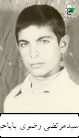 شهید سید مرتضی رضوی