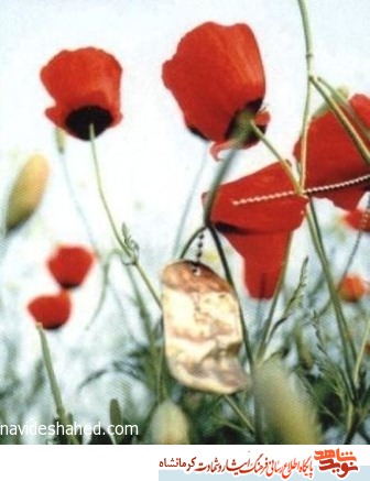 بدانید که من به حسین زمان و امام عزیز لبیک گفته ام
