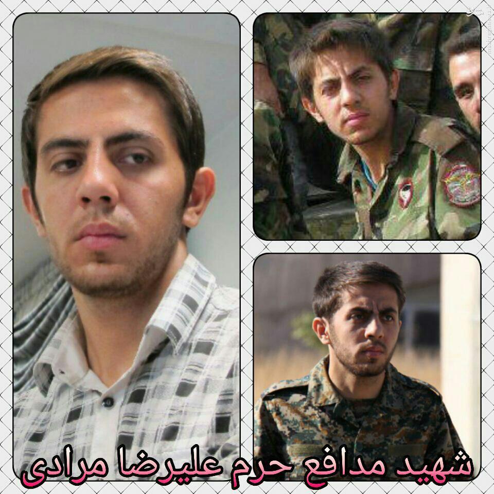جشن تولد شهید مرادی در بهشت زهرا (س) برگزار میشود جشن تولد شهید مرادی در بهشت زهرا (س) برگزار میشود