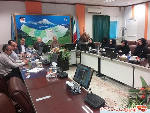 همايش مجازى معاونين فرهنگى بنياد شهيد و امورايثارگران برگزار شد