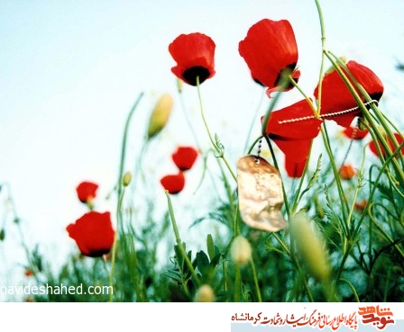 شهید عسگر دارابی/ چه زیباست که در پایان صحنه ی زندگی حق تجلی کند شهید عسگر دارابی/ چه زیباست که در پایان صحنه ی زندگی حق تجلی کند