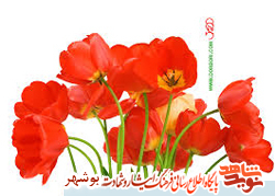 زندگینامه شهید رضا سناپور