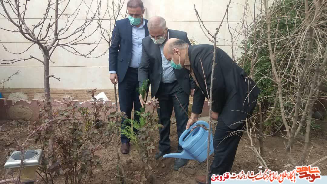 مسئولان البرز در بیت شهید سلامت شریفخواه نهال غرس کردند مسئولان البرز در بیت شهید سلامت شریفخواه نهال غرس کردند