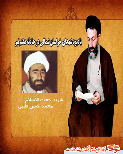 همسر شهیدطیبی: همسر شهیدطیبی: