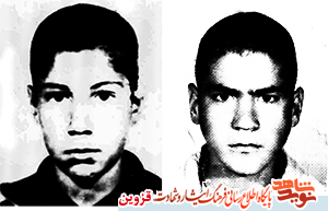 مادر شهیدان سید مادر شهیدان سید