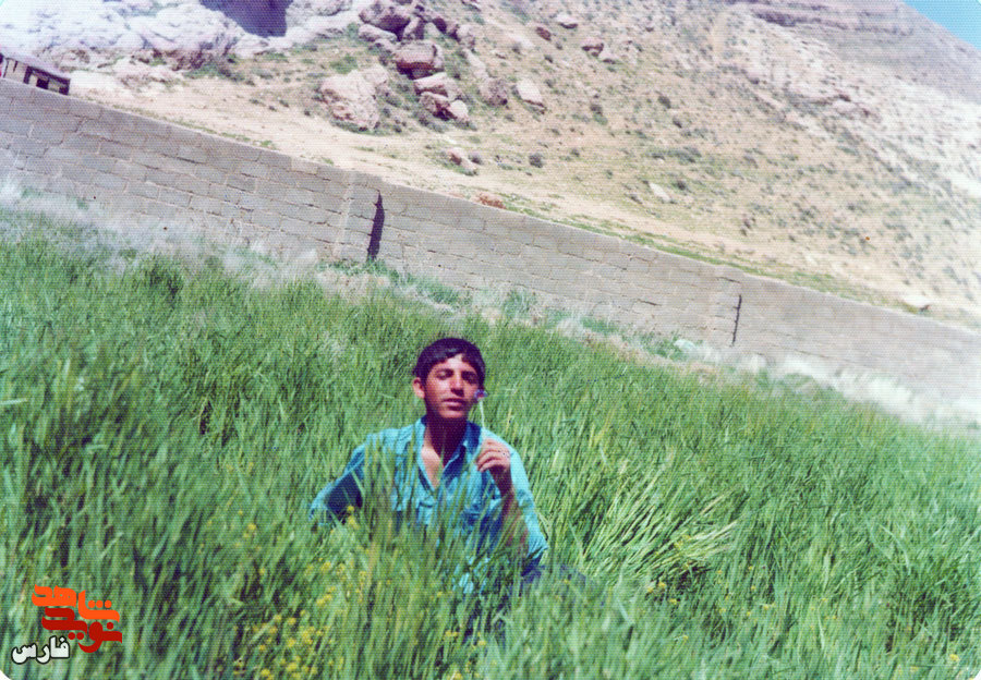 نامه شهيد علی اکبر ارسنجانی