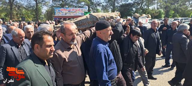 مادر شهید «محمد سنبلی» به فرزند شهیدش پیوست.