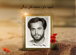 از هنرستان تهران تا شهادت در پلدختر