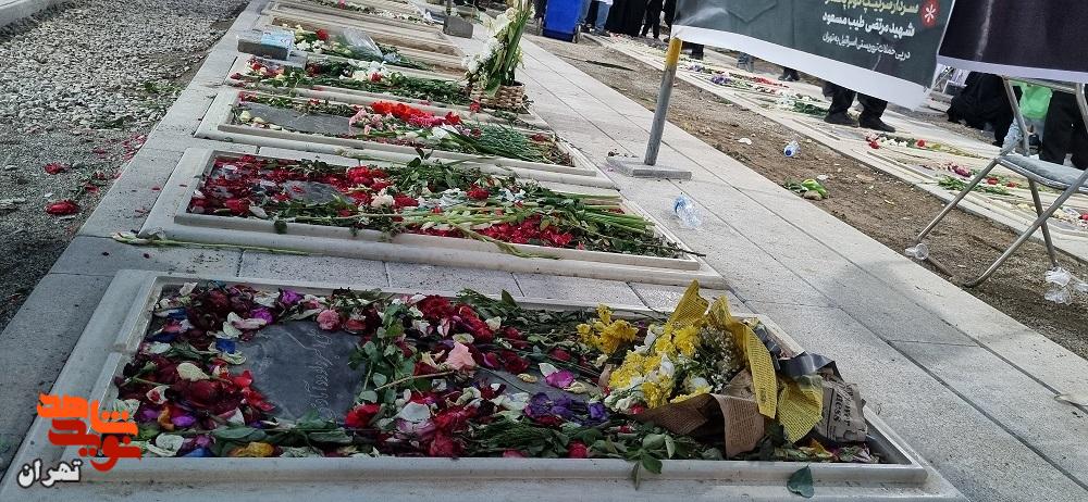 از قطعه 42 تا دشت نینوا