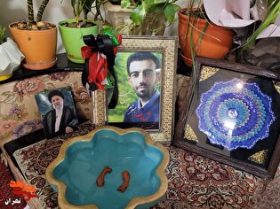 تجلیل مدیرکل بنیاد شهید تهران بزرگ از صبر و استقامت...