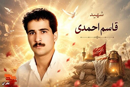 از تحصیل در رشته اقتصاد تا شهادت در جبهه...