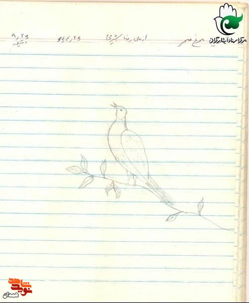 اسناد شهید «علیرضا بشیری»